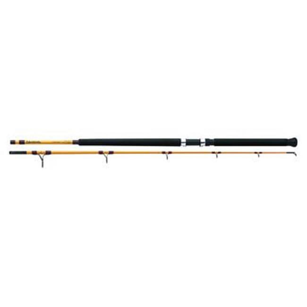 Surf Fishing Rod 11 Feet Mediu - Fishing Rod Surf recensione e prezzo