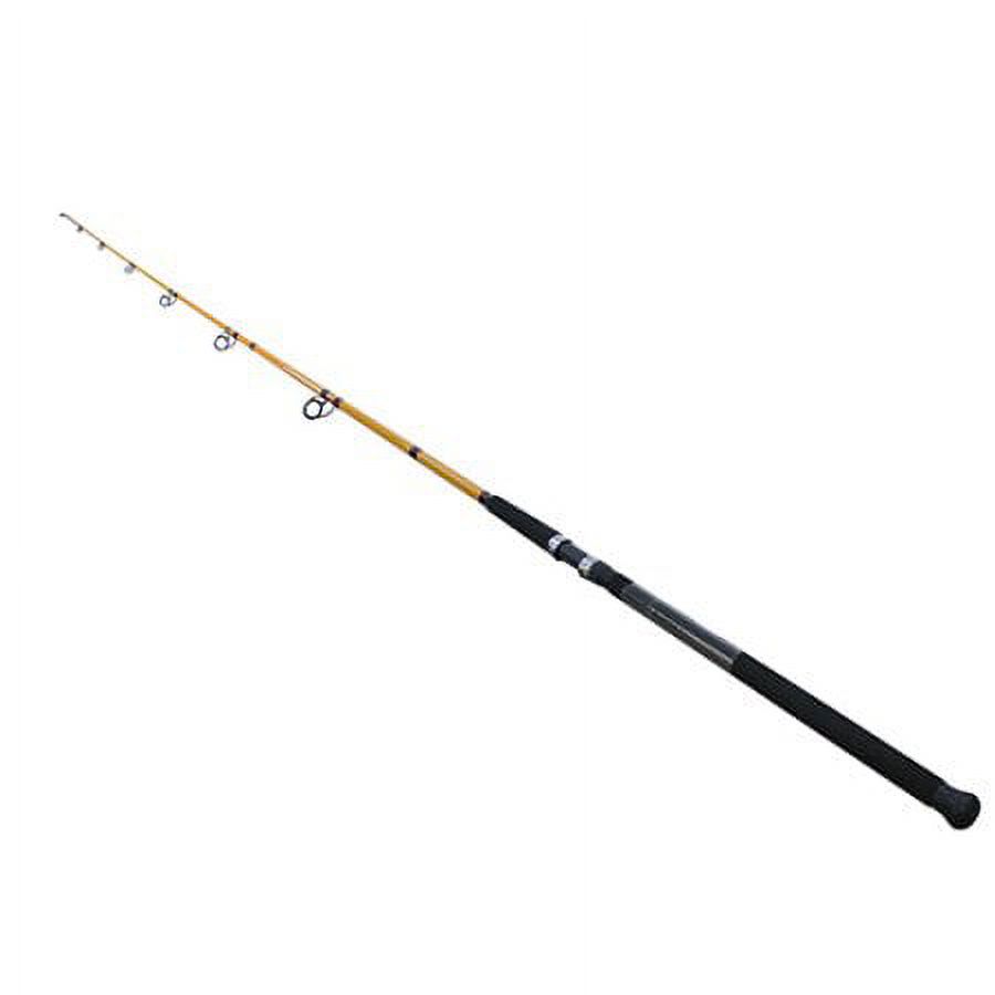 Surf Fishing Rod 11 Feet Mediu - Fishing Rod Surf recensione e prezzo