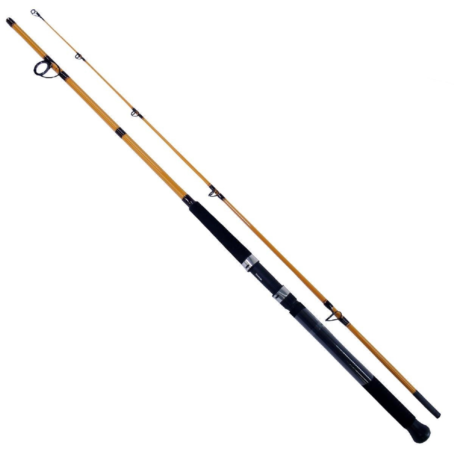 FT Series Fiberglass Surf Spin - Fishing Rod Spinning recensione e prezzo
