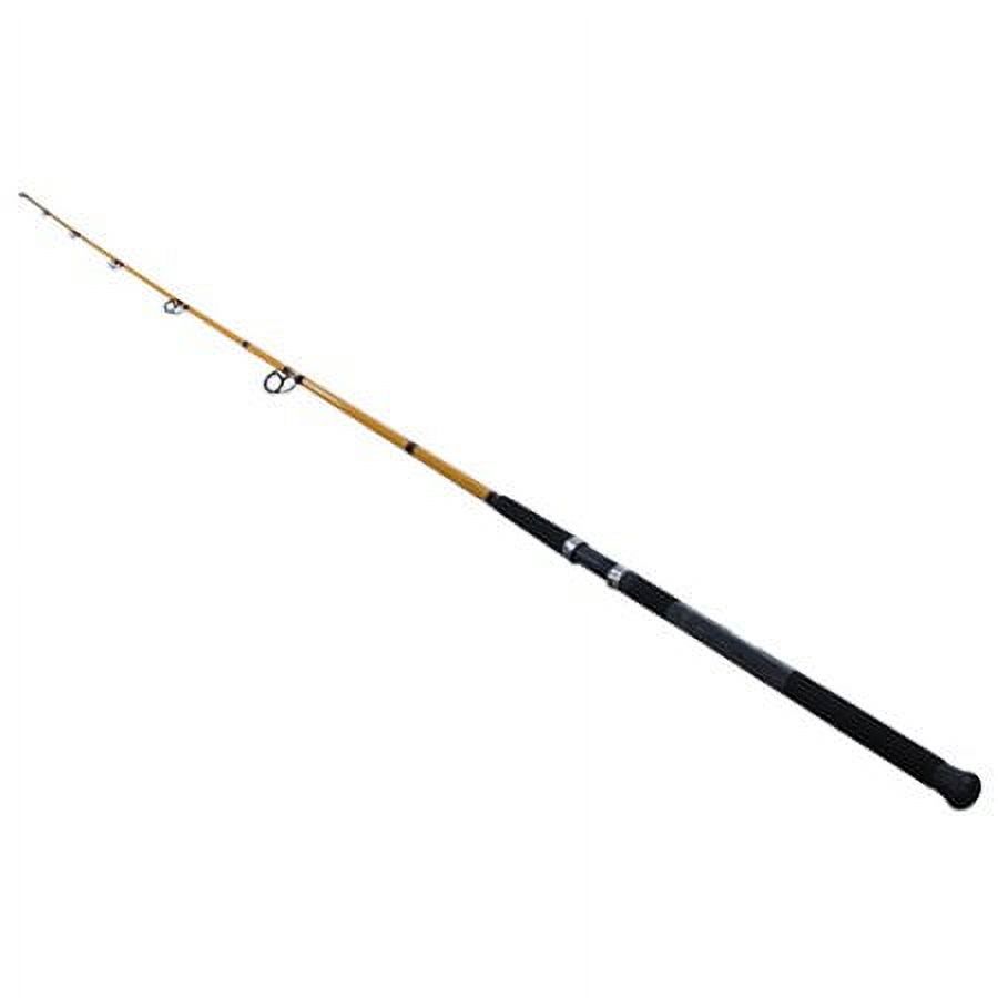 FT Series Fiberglass Surf Spin - Fishing Rod Spinning recensione e prezzo